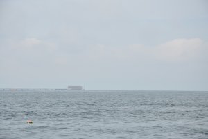 Wieniec pływa na wodach Zatoki Gdańskiej