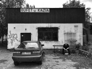 Sny o potędze Gdańsk, czerwiec 2017 IPhone 6 Plus Zdjęcie dnia galerii Street Dogs of Poland, fot. Dariusz Sobiecki 
