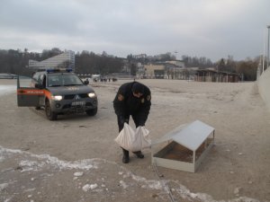 Strażnik miejski z Ekopatrolu wsypuje ziarna dla zwierząt do karmnika // fot. Straż Miejska w Gdyni