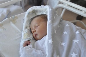 10 lutego, w urodziny Gdyni, jako pierwszy urodził się Bruno - o godz. 2.59 // fot. Magdalena Czernek
