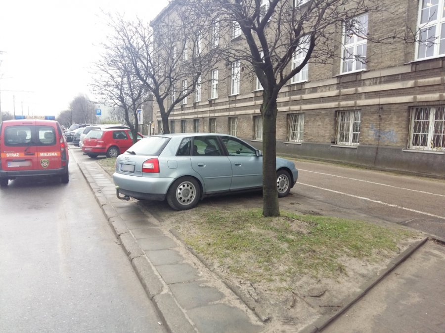 500 zł mandatu za parkowanie na trawniku fot. mat. prasowe Straży Miejskiej