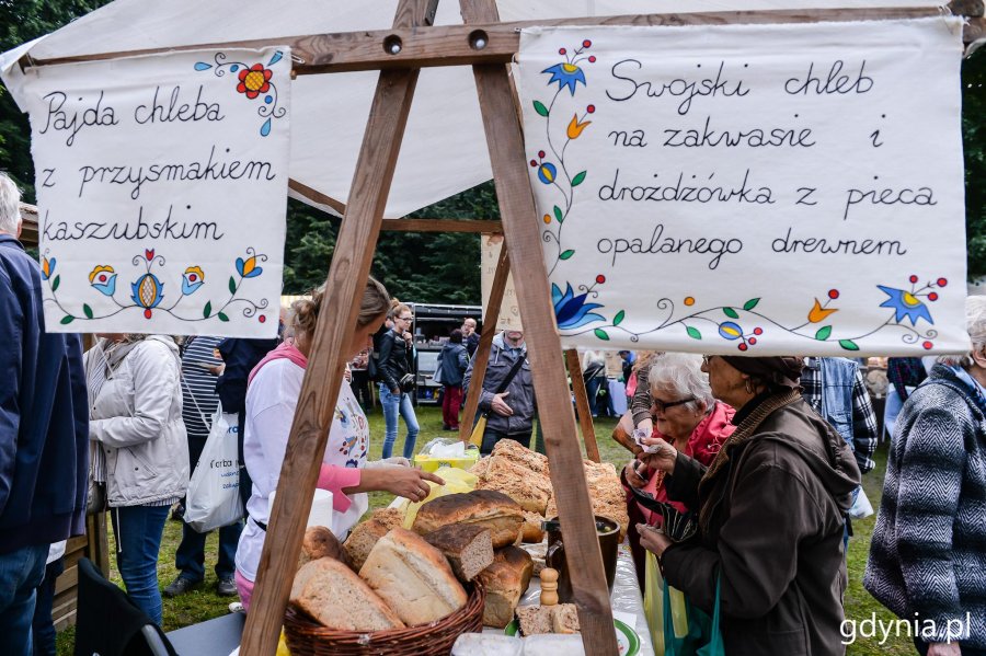 Dary Ziemi 2017 w parku Kolibki // fot. Przemysław Świderski
