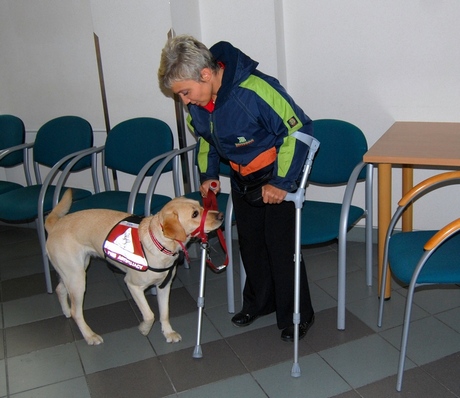 Konferencja „Rola psa asystującego we wspomaganiu aktywności osób niepełnosprawnych w aspekcie społecznym i prawnym”, fot.: Dorota Nelke