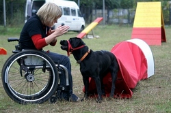 I Gdyńskie Warsztaty dla osób niepełnosprawnych z psami asystującymi
