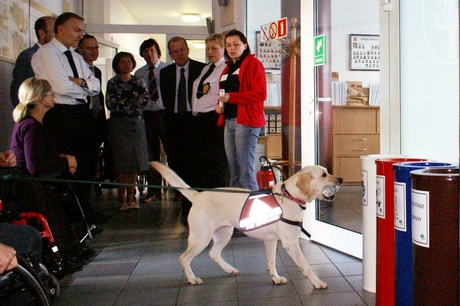 I Gdyńskie Warsztaty dla osób niepełnosprawnych z psami asystującymi - zajęcia w Urzędzie Miasta Gdyni