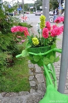 Gdyńskie pozytywne rowery nabrały kolorów / fot. Dorota Nelke