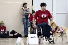 IV Warsztaty dla Osób Niepełnosprawnych z Psami Asystującymi w Gdyni