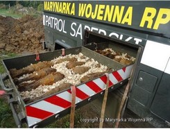 Granaty moździerzowe znalezione przy ulicy Zapolskiej w Gdyni Pogórzu