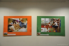 W Galerii Ratusz prezentowane są zdjęcia ilustrujące działalność Fundacji Dogtor, fot. Michał Kowalski