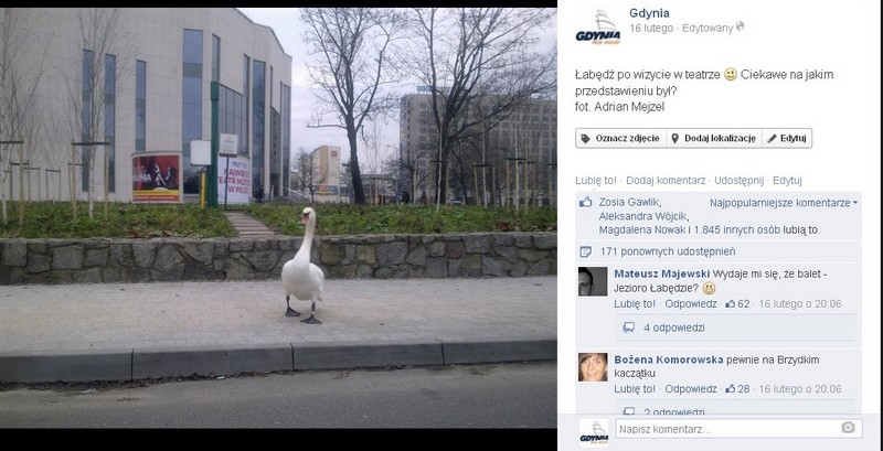 Gdyński profil na Facebooku - jeden z najpopularniejszych postów