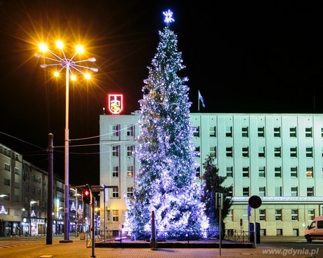 Świąteczna choinka przed Urzędem Miasta Gdyni, fot. Karol Stańczak