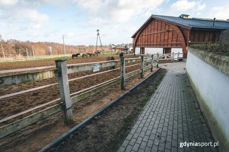 Zmodernizowany wybieg dla koni i odnowiona drewniana elewacja budynku Ośrodka Hipoterapii, fot. gdyniasport.pl