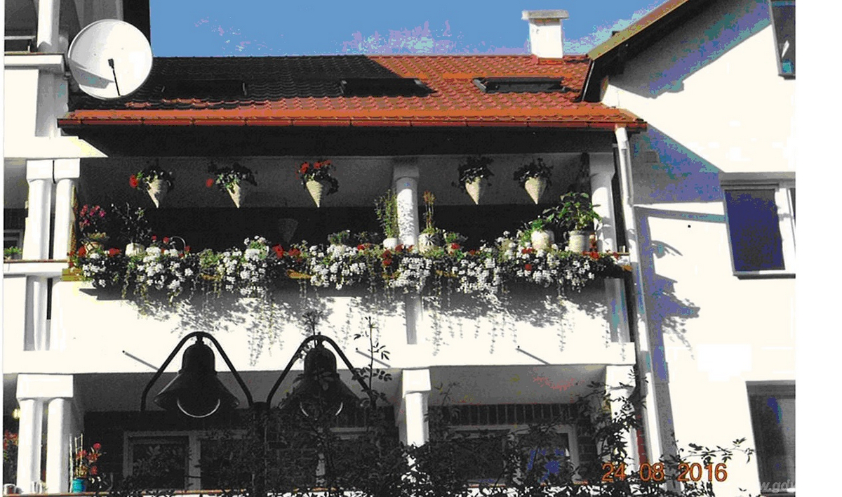 W kategorii budynków wielorodzinnych nagrodę główną (1170 zł netto) przyznano Jolancie Glińskiej z dzielnicy Pustki Cisowskie W kategorii budynków wielorodzinnych nagrodę główną (1170 zł netto) przyznano Jolancie Glińskiej z dzielnicy Pustki Cisowskie