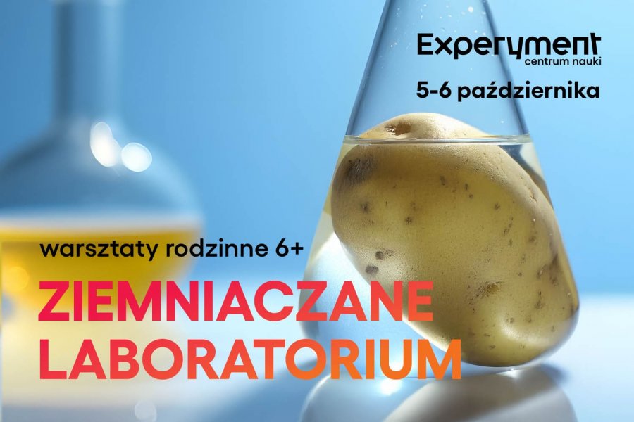 WARSZTATY RODZINNE. Ziemniaczane laboratorium (źródło: Centrum Nauki Experyment) 