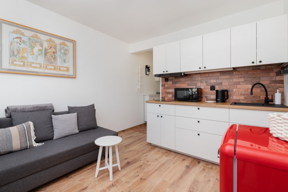 Apartament typu studio, widok na pokój z aneksem kuchennym