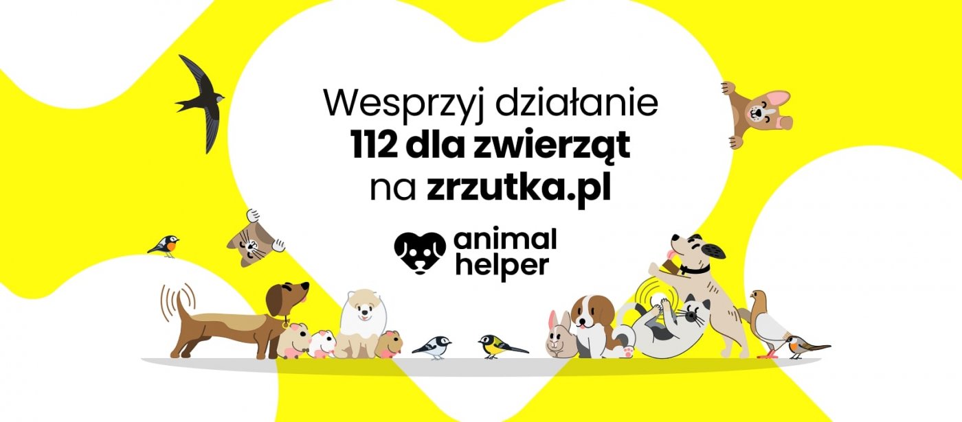 Bez wsparcia Animal Helper będzie musiało zakończyć działalność w listopadzie (fot. Animal Helper)