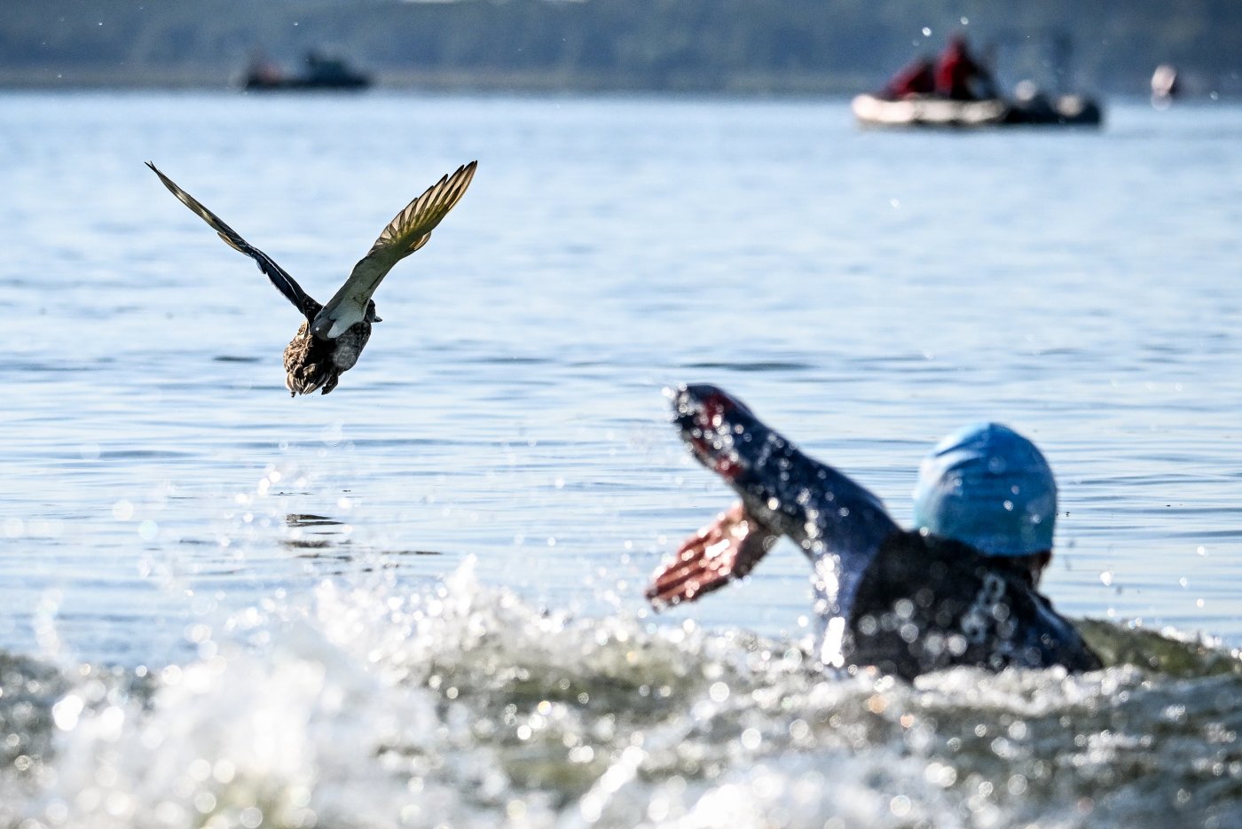 Gdyński triathlon odbędzie się tradycyjnie w pierwszy weekend sierpnia // fot. materiały organizatora