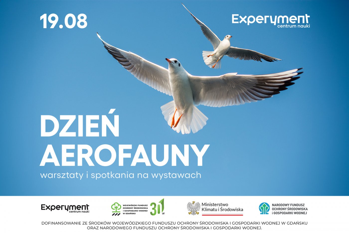 Dzień aerofauny w Experymencie, 19.08