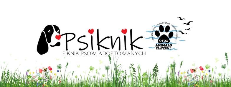 II piknik psów adoptowanych „Psiknik” w Parku Kolibki 