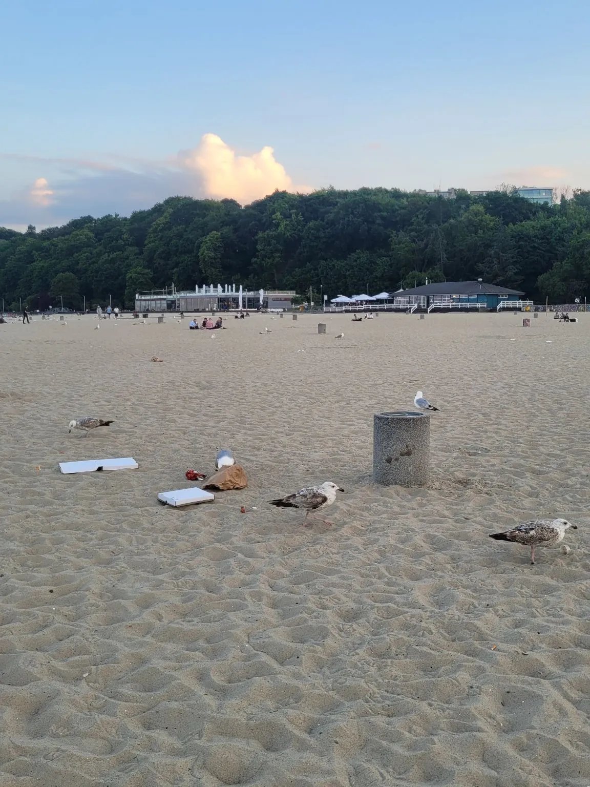 Śmieci na plaży w Gdyni // źródło www.trojmiasto.pl/raport