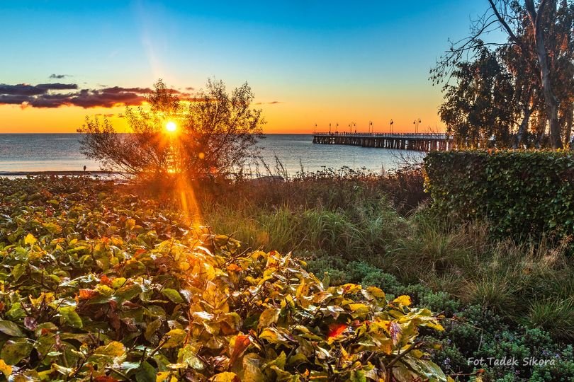 na zdjęciu jesienna Gdynia