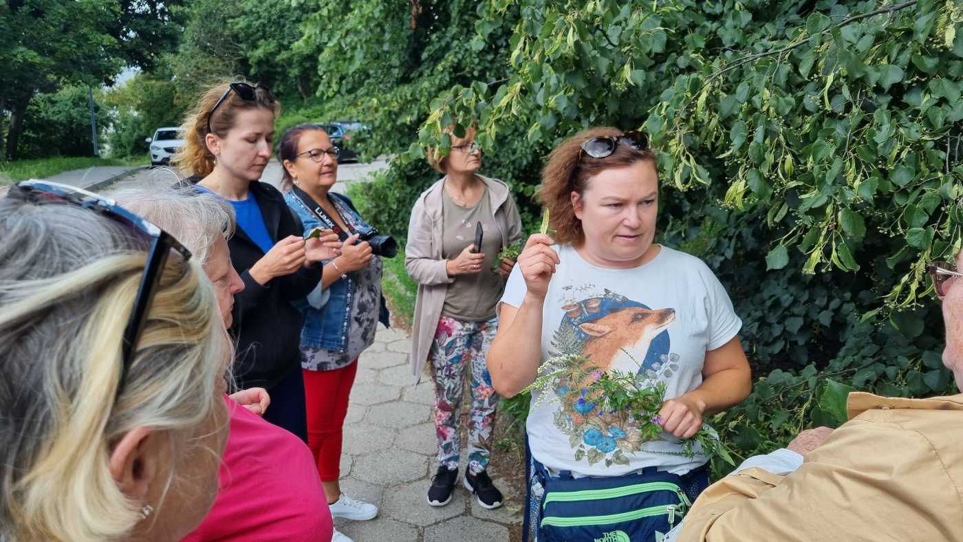 Spacer zielarski poprowadziła edukatorka przyrodnicza zaangażowana w życie Domu Sąsiedzkiego w Przystani Śmidowicza 49 // fot. Laboratorium Innowacji Społecznych 