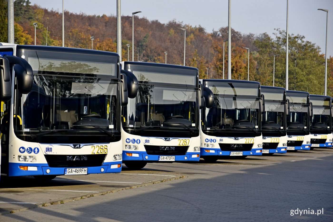 Ważne jest podniesienie poziomu życia mieszkańców między inni poprzez wspólną komunikację, czy ochronę środowiska   (fot. P. Kukla)