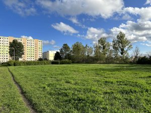 widok na tereny starego boiska przy CKZiU nr 2 w Gdyni, w miejsce którego powstanie nowy kompleks sportowy.