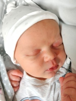 Leonard, 55 cm, 3980 g, 22.07.23