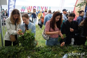 Cudawianki 2024 w Gdyni, fot. Mirosław Pieślak