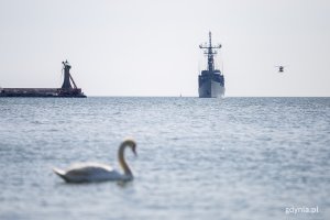 Okręt wpływa do portu, na pierwszym planie łabędź, obok okrętu śmigłowiec.