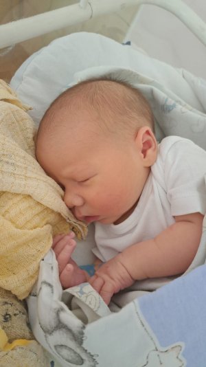 Kamil, 53 cm, 3330 g, 16.06.23