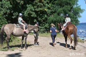 Dwa konie z jeźdźcami przy plaży w Orłowie