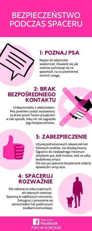 Grafika dotycząca bezpieczeństwa podczas spaceru // mat. prasowe Pies w Koronie