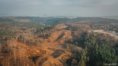 Teren pod inwestycję Obwodnicy Witomina (fot. Marcin Mielewski // ZDIZ Gdynia)