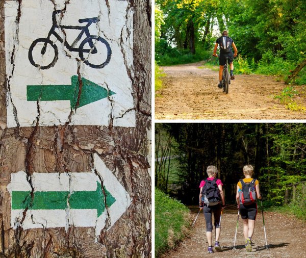 Kto zaprojektuje gdyński szlak pieszo-rowerowy?