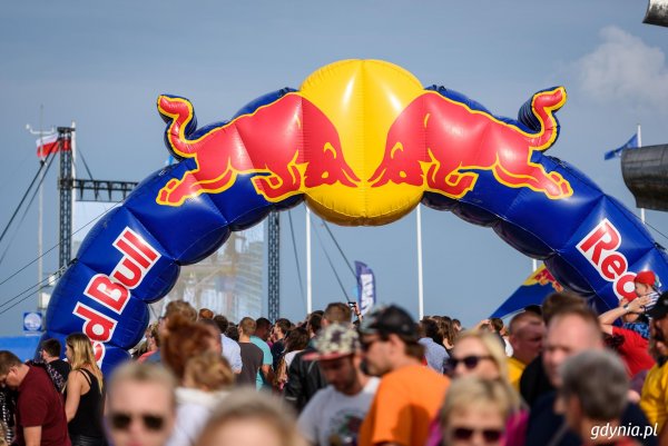 Red Bull Konkurs Lotów 2019 - lista uczestników