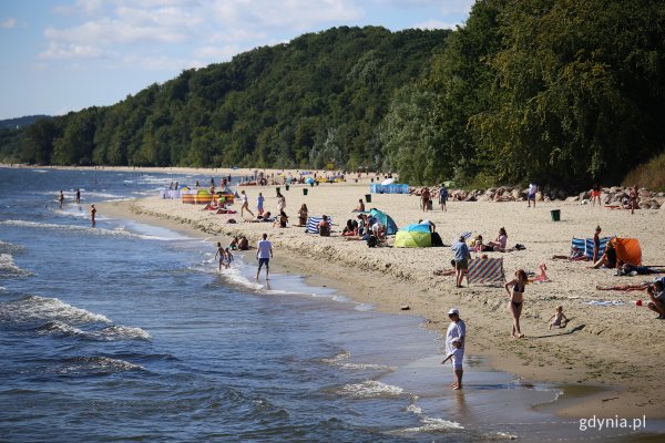 Jak bezpiecznie wypoczywać nad wodą?