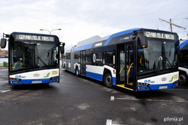 Zostań kierowcą gdyńskiego autobusu – trwa nabór