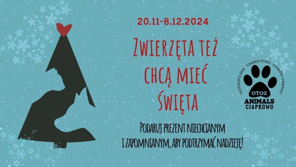 Rusza akcja Zwierzęta Też Chcą Mieć Święta 2024!