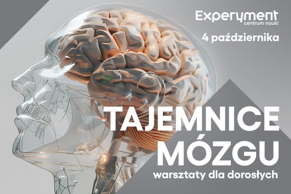 Warsztaty dla dorosłych. Tajemnice mózgu w Centrum Nauki Experyment