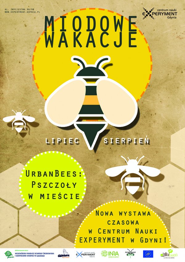 Miodowe wakacje  – wystawa „Urbanbees: Pszczoły w mieście” i szereg wydarzeń w EXPERYMENCIE