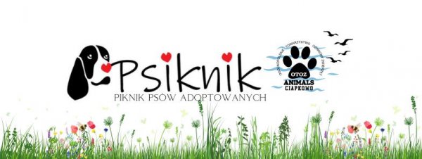 II piknik psów adoptowanych „Psiknik” w Parku Kolibki 