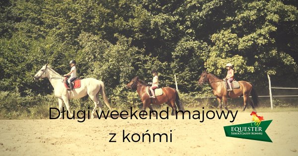 Długi weekend majowy w stajni EQUESTER