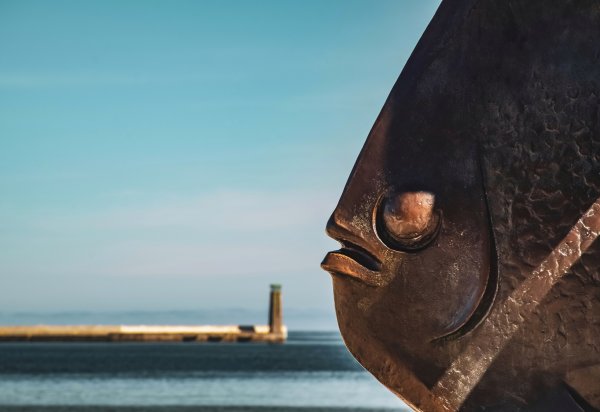 Zbliżenie na Gdynię po sezonie. „To miasto, w którym można poczuć się wolnym jak ptak”