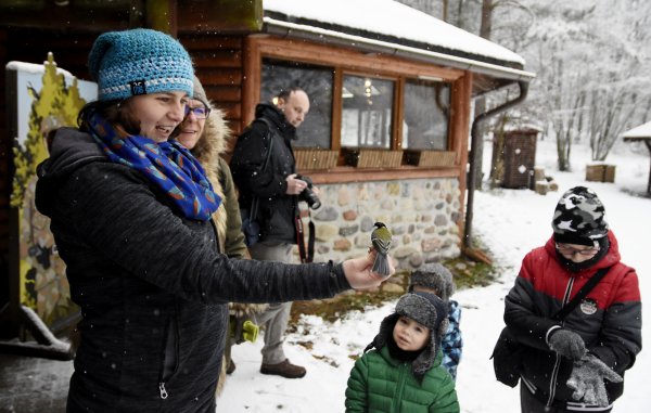 Ptaki z bliska i dla każdego. Akcja Karmnik