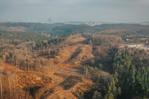 Teren pod inwestycję Obwodnicy Witomina (fot. Marcin Mielewski // ZDIZ Gdynia)