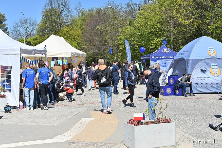 Stoiska na Pikniku Europejskim i zgromadzeni wokół mieszkańcy.