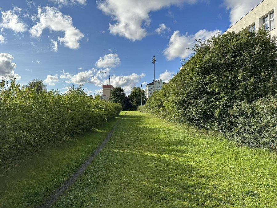 widok na tereny starego boiska przy CKZiU nr 2 w Gdyni, w miejsce którego powstanie nowy kompleks sportowy.