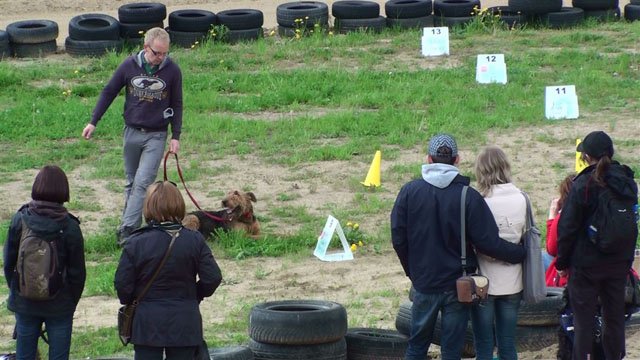 Psie fikołki - festyn edukacyjny "Pies w wielkim mieście" 13.05.2012